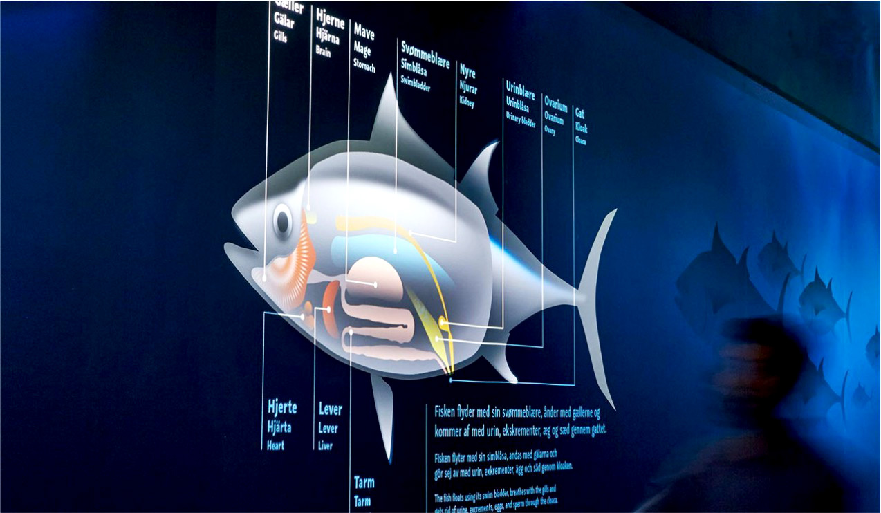 企業(yè)展覽設計公司